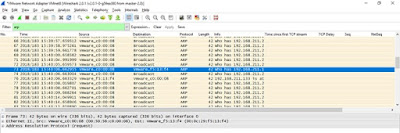 Network Traffic Capture