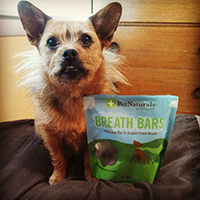 pet naturals breath bars review