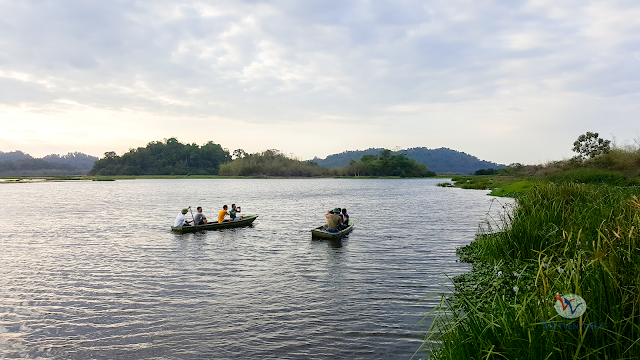 Hiking 5 km vào Bàu Sấu, khu rừng ngập mặn trong rừng Nam Cát Tiên