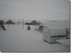 snow2 001