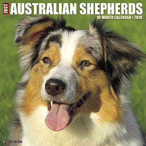 Just Australian Shepherds 2018 Calendar