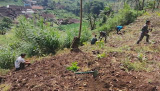 Satgas Citarum Harum Sektor, 1 Sub Cihawuk Kembali Tanam Pohon di Lahan Kritis 