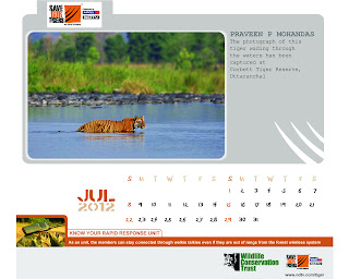 NDTV Save the Tiger Calendar