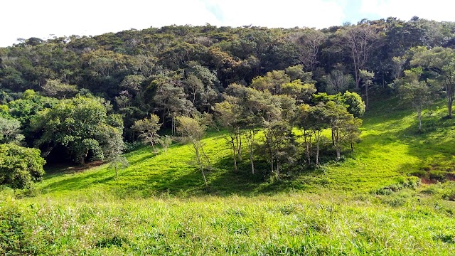 A PROTEÇÃO AMBIENTAL PERTENCE A TODOS NÓS, SE QUISERMOS CONTRIBUIR COM O PLANETA