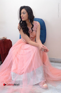 Actress Neha Hinge Stills in Pink Long Dress at Srivalli Teaser Launch  0135.JPG