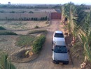 IMG0695A