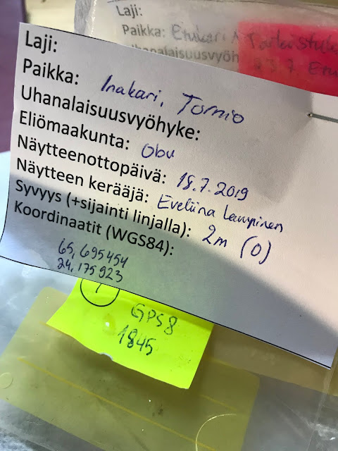 Näytepussi, jossa löytöpaikka, näytteenottaja, yms. tietoja. 