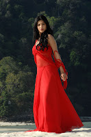 Shruthi Hassan New Photos From 7th Sense