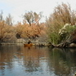 View album