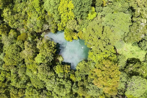 Danau Nyadeng Hutan Merabu