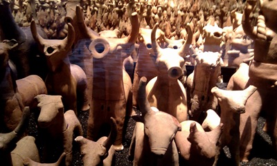 IMAG0084