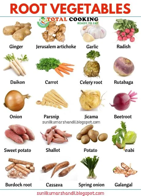 विभिन्न प्रकार की जड़ वाली सब्जियां | Different Types of Root Vegetables in Hindi