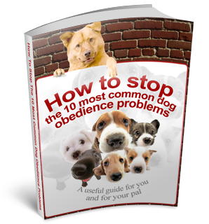 Free Stop 10 Common Dog Obedience Problems eBook