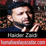 https://www.humaliwalayazadar.com/2019/09/haider-zaidi-nohay-2020.html