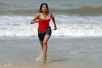 priyamani hot in raaj, hor priyamani wallpapers in raaj