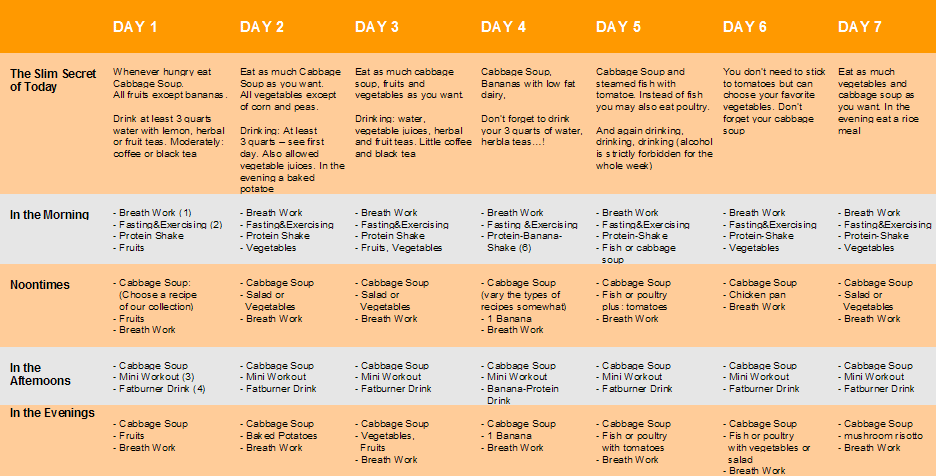 diet schedule I took from online, also typical of other diet books ...