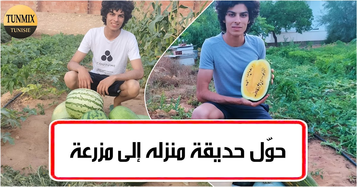 طالب تونسي ينجح في إطلاق مشروع فلاحي لإنتاج خضر وغلال بالإعتماد على البذور التونسية الأصلية