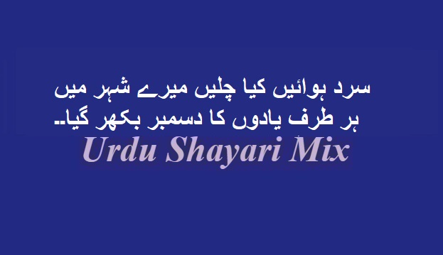 سرد ہوائیں کیا چلیں میرے | Love poetry | mohabbat shayari