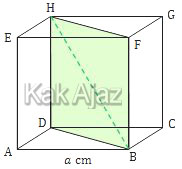 Bidang diagonal BDHF pada kubus ABCD.EFGH, soal no. 28 matematika IPS UN 2019