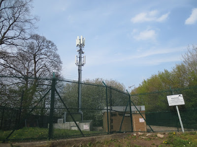 Small-Common-Phone-Mast-EMF-Tower