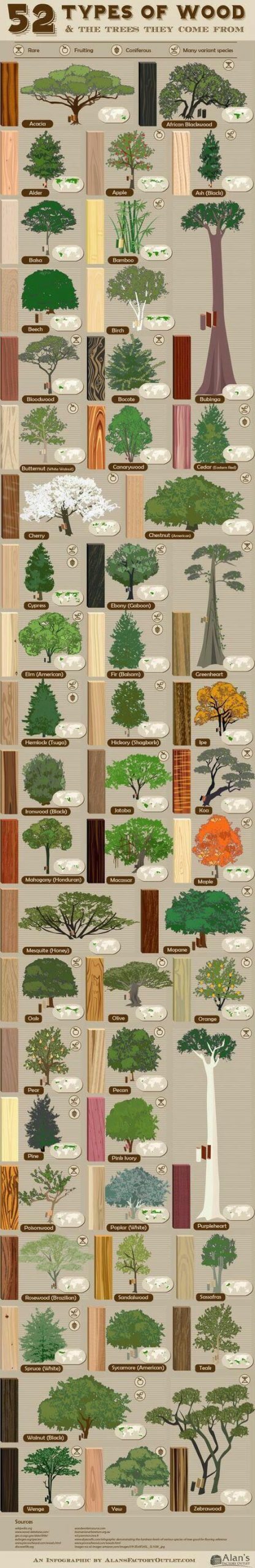 52 TYPES OF WOOD & THE THREES THEY COME FROM #BEST INFOGRAPHICS #INFOGRAPHIC S