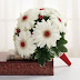 White gerbera daisy flowers.