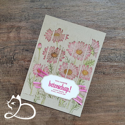 Daisy Garden Stampin'Up!® Diana's Cards Cats and More