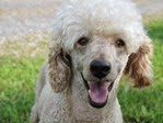 20140701_084245-spike