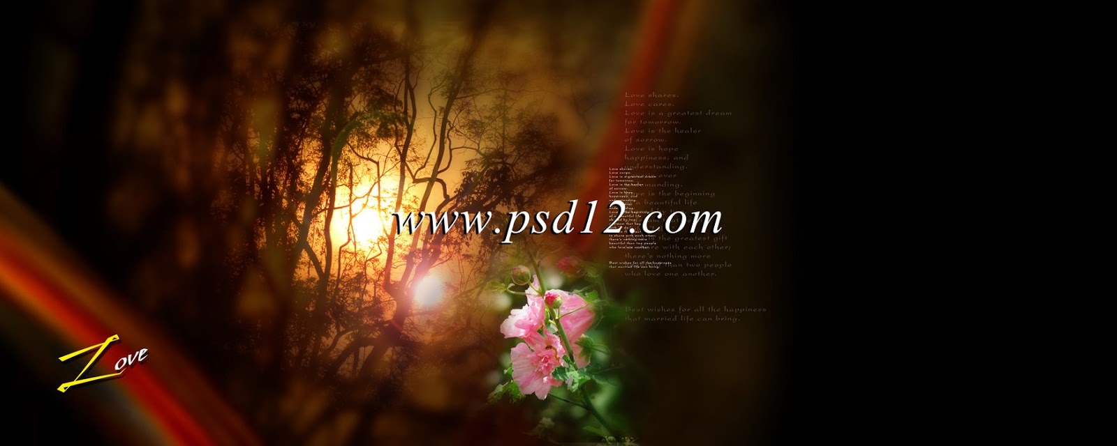 Photoshop Backgrounds 12x30 PSD Karizma Album Backgrounds