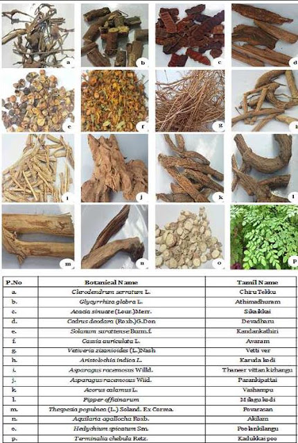 Trading of medicinal plant products in Kovilpatti Taluk, Thoothukudi, South East Tamil Nadu, India