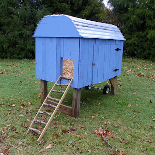 backyard, chicken, coop, backyard chickens, chicken coop