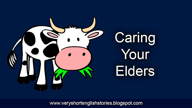 Caring Your Elders