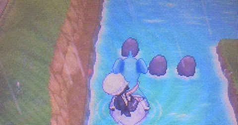 ポケットモンスターy攻略メモ 連続釣りで色違いポケモン 釣り連鎖のコツ 生臭坊主のゲームメモ