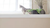 Decorating High Shelves In Living Room