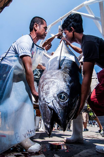 Tuna Festival Photo Contest Winners