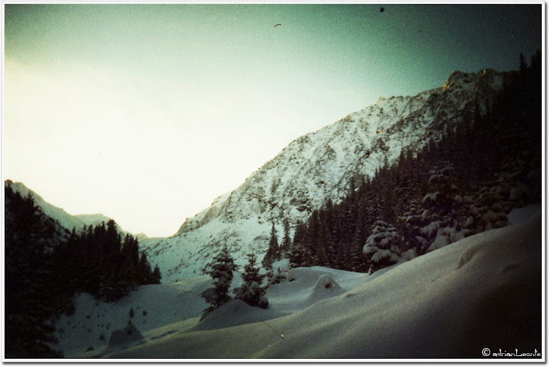 Fagaras mountains, Valea Doamnei