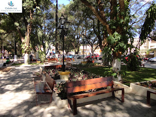 Linda decoração na nova Praça da Sé em Crato.