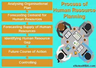Steps in the Process of Human Resource Planning