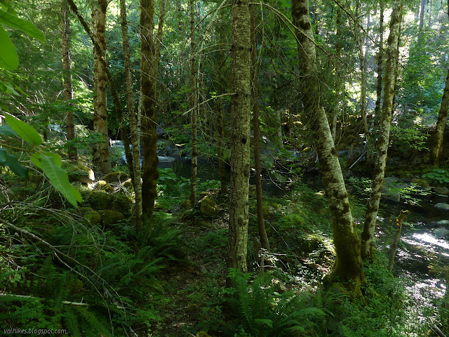 North Fork Wooley Creek