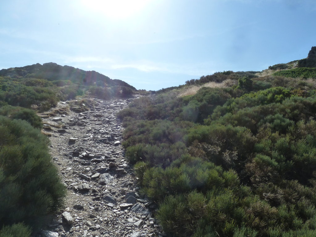 PICO DEL LOBO (2.274m) y Alto de las Mesas, 2.257m (La cúspi P1230721%20%28FILEminimizer%29