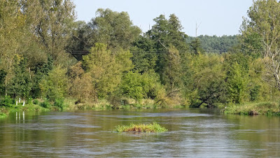 Zdjęcie: