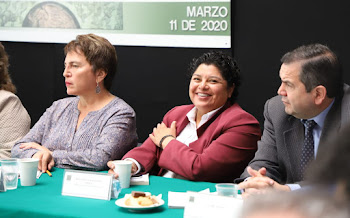 Lo que convence a la ciudadanía son nuestras acciones: Karina Pérez Popoca
