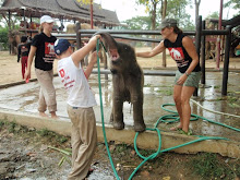 Elephantstay,Thailand,