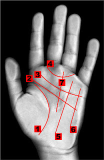 Imagen de las líneas de la mano izquierda