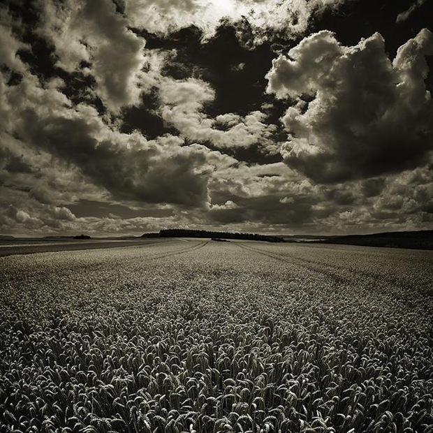 Black-and-white-landscape