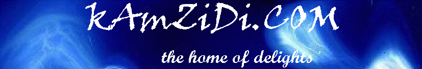 kamzidi.com