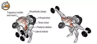 14 Best Dumbbell Exercises for Building Muscle