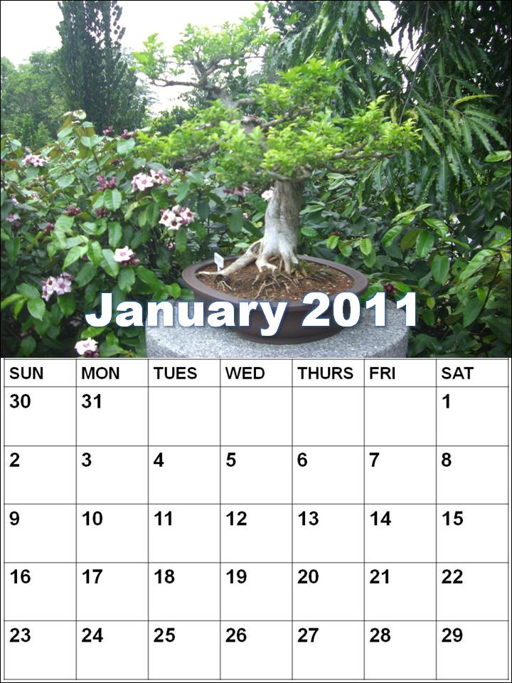 january 2011 calendar planner. january 2011 calendar planner. Blank Calendar 2011 January or