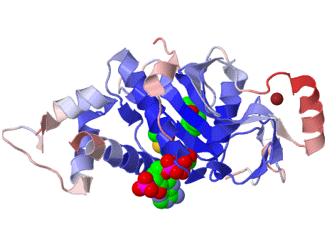 Histone acetyltransferase HTATIP, Histone acetyltransferase KAT5, HIV-1 Tat interactive protein, HTATIP