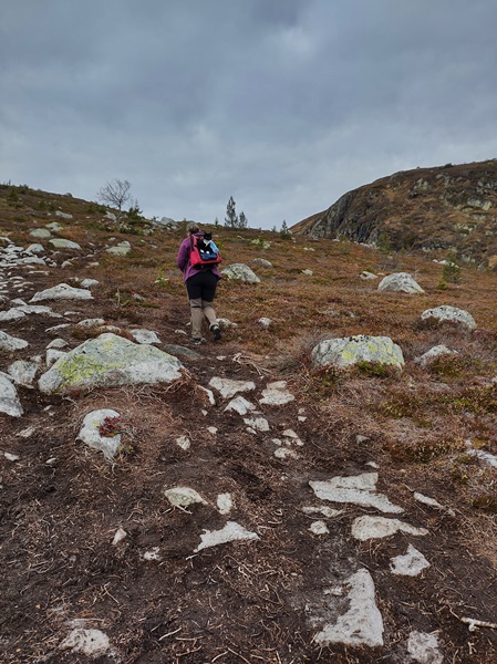 norefjell leppejuv